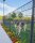 Doppelstabmatte 8/6/8 2,5m x 1,63m RAL7016 Anthrazit