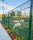 Doppelstabmatte 8/6/8 2,5m x 1,83m RAL6005 Grün